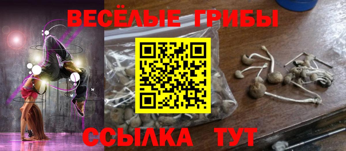Псилоцибиновые грибы мухоморы  Вход с VPN  Севастополь 